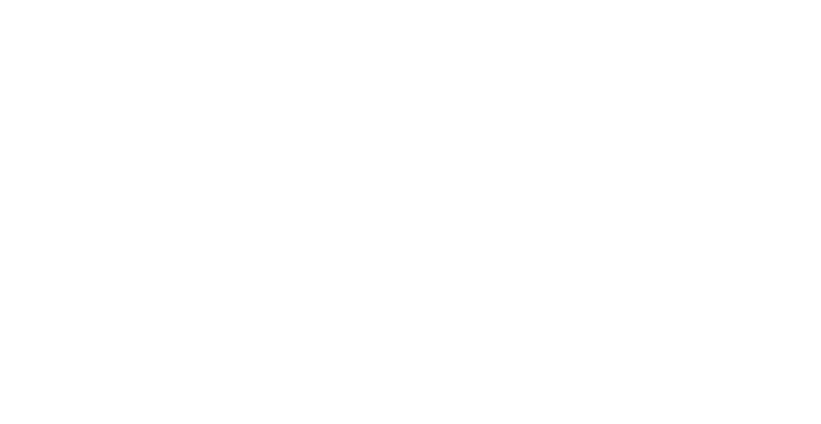 Copie de Lectures-Plurielles-Logotype-Blanc (1)