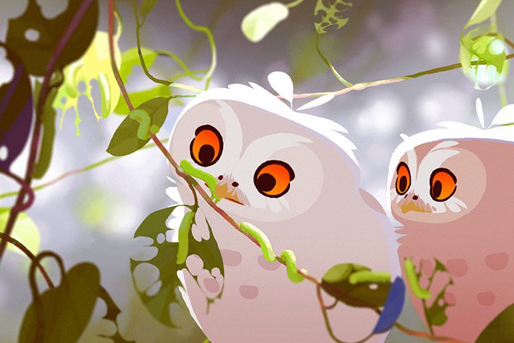 L’odyssée de Choum