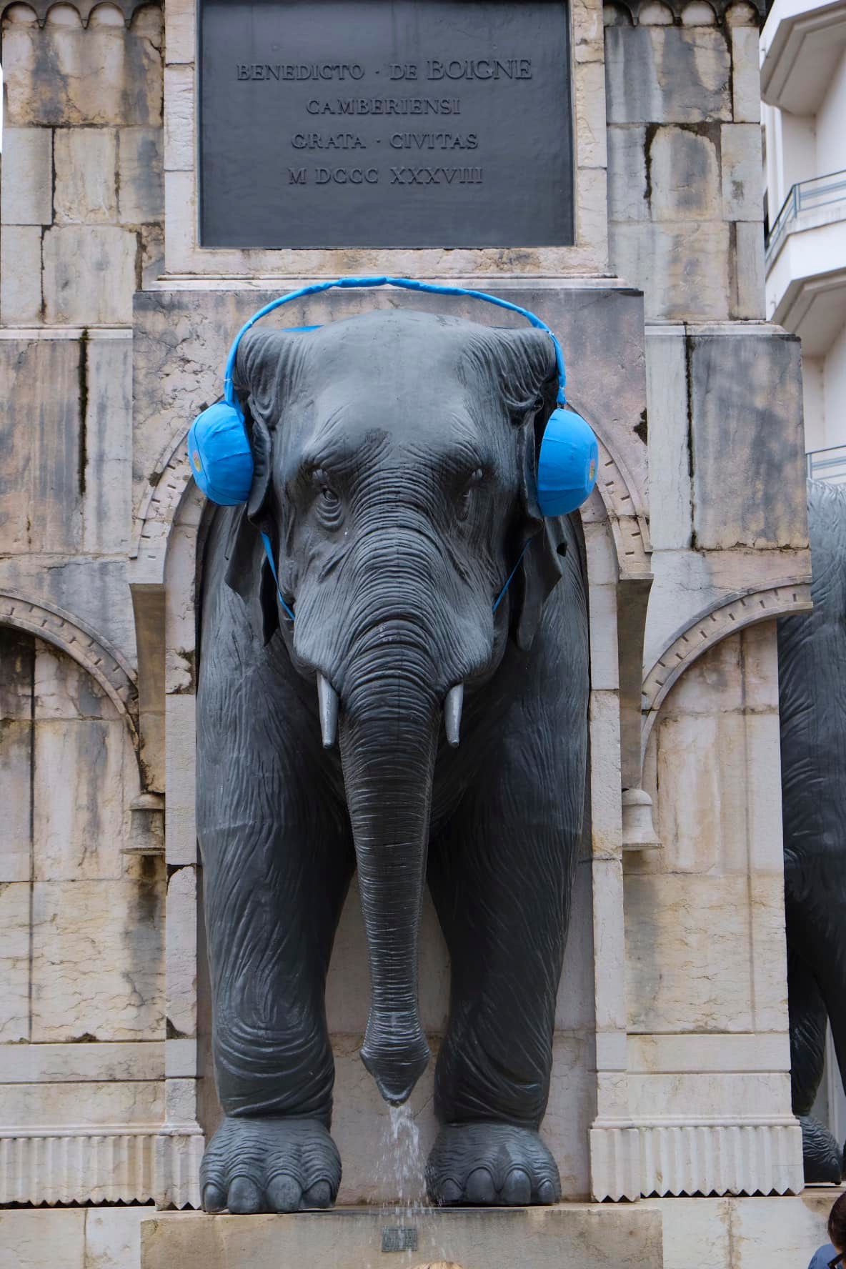 Eléphant casque bleu